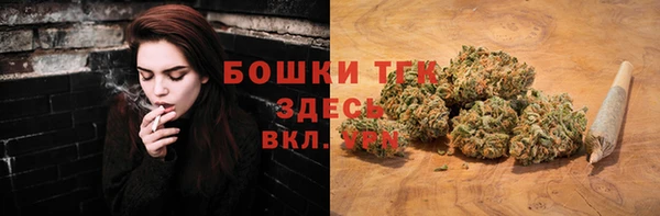 ГАЛЛЮЦИНОГЕННЫЕ ГРИБЫ Алексин