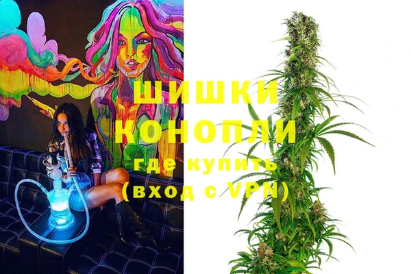 ГАЛЛЮЦИНОГЕННЫЕ ГРИБЫ Алексин