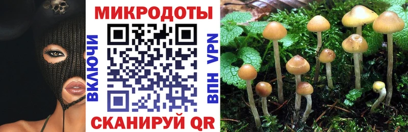 где найти   Елец  Псилоцибиновые грибы GOLDEN TEACHER 